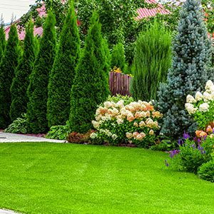 Landscaping Services